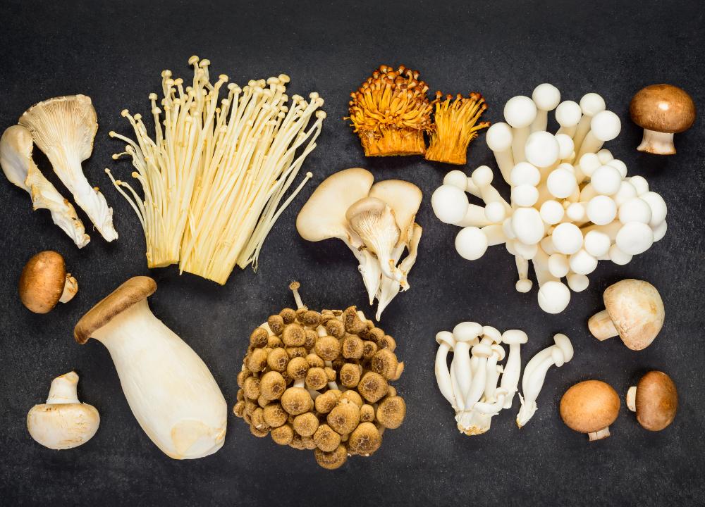 medicinal mushrooms used in mushroom coffee