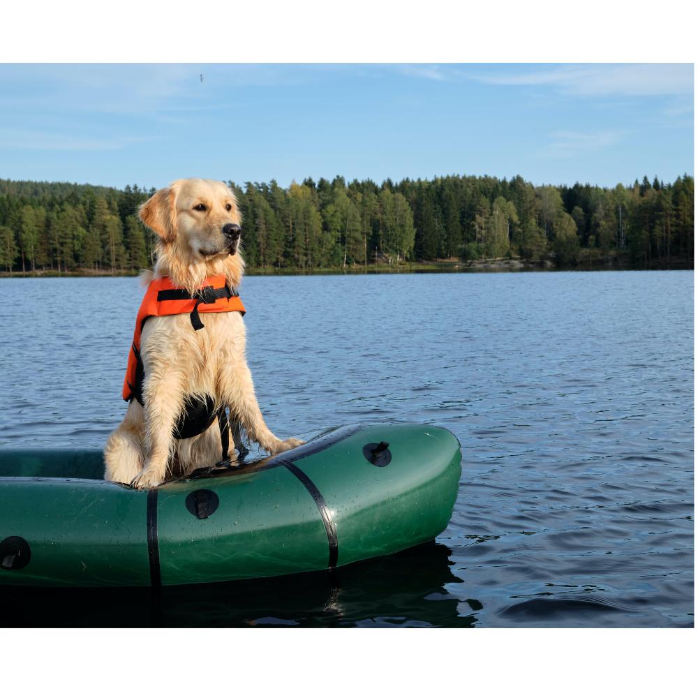 kayaking with a Dog