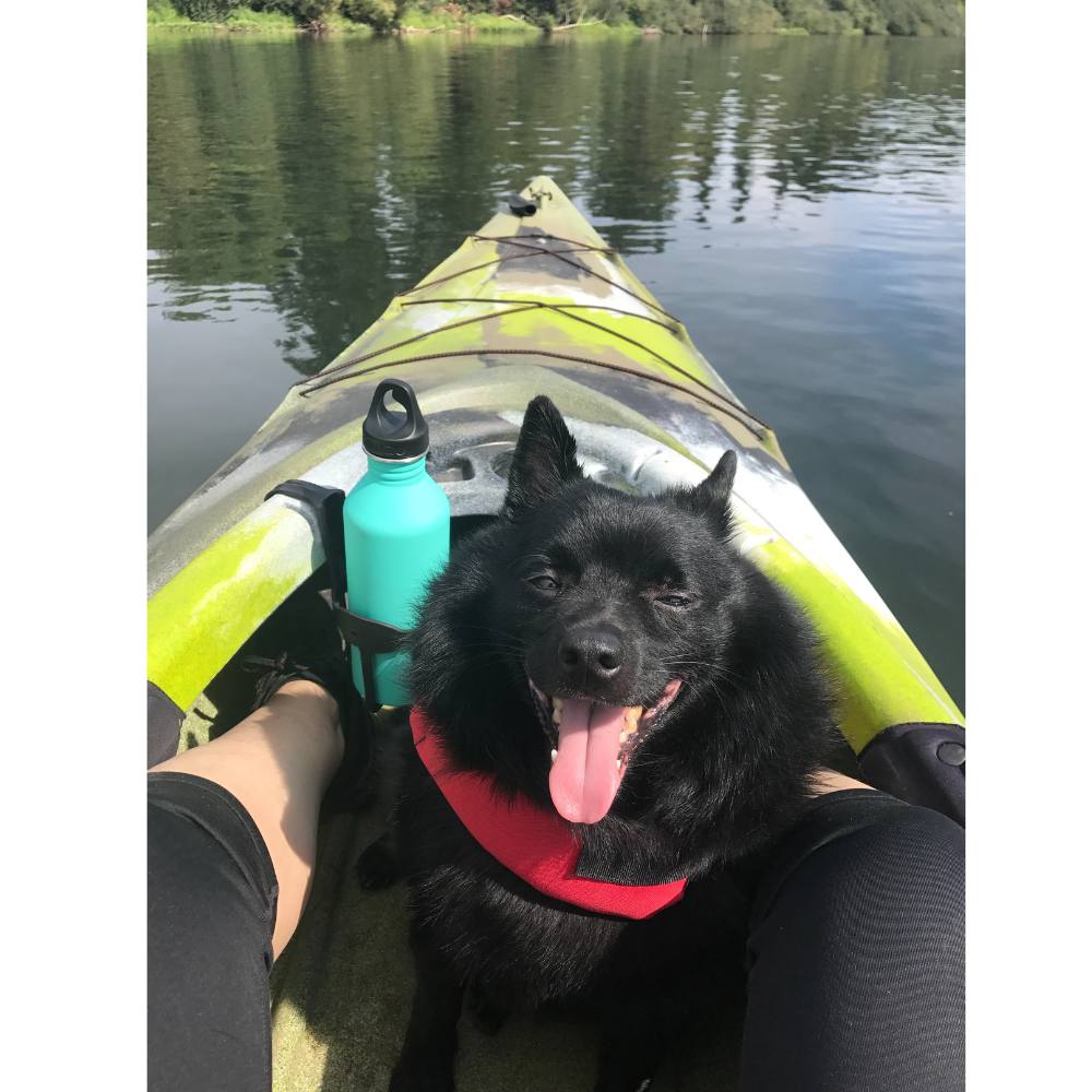 kayaking with a Dog