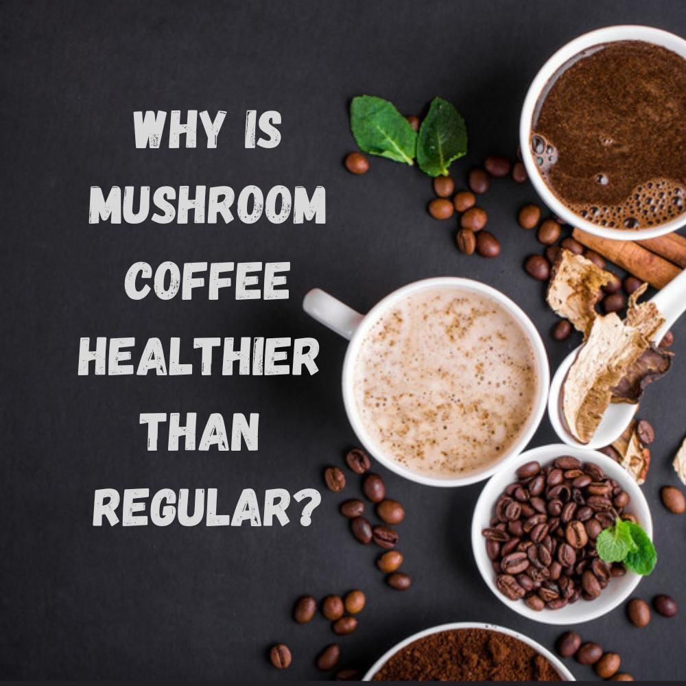 Why Mushroom Coffee is Healthier Than Your Regular Cup.